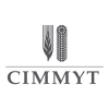 CIMMYT