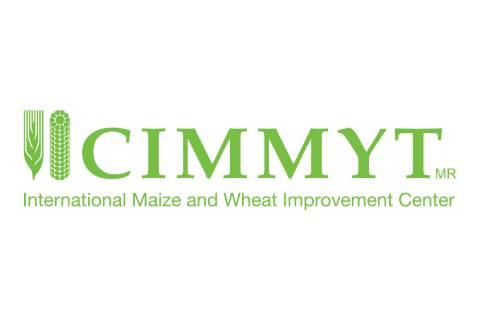 International Maize and Wheat Improvement Center